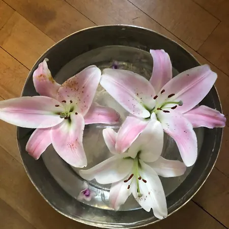 Good4yew チューリッヒ