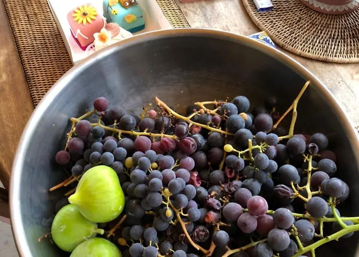 Good4yew 4* 苏黎世